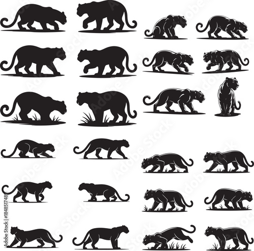 “Powerful Panther Silhouette Collection – Black Panther, Shadow Panther, Night Panther & Predator Silhouettes”