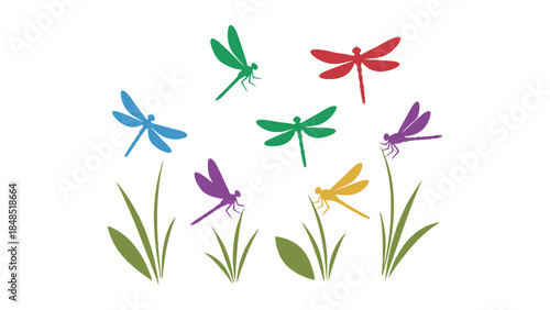 Colorful dragonflies flying around green grass and leaves