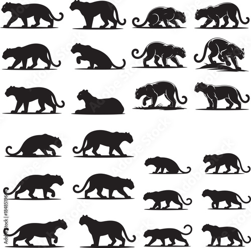 “Powerful Panther Silhouette Collection – Black Panther, Shadow Panther, Night Panther & Predator Silhouettes”