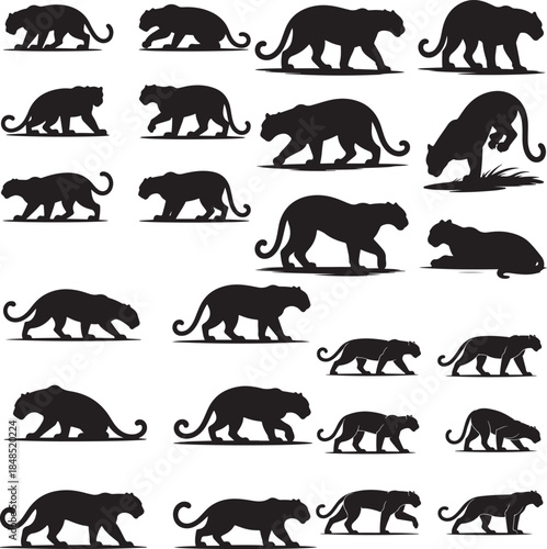 “Powerful Panther Silhouette Collection – Black Panther, Shadow Panther, Night Panther & Predator Silhouettes”