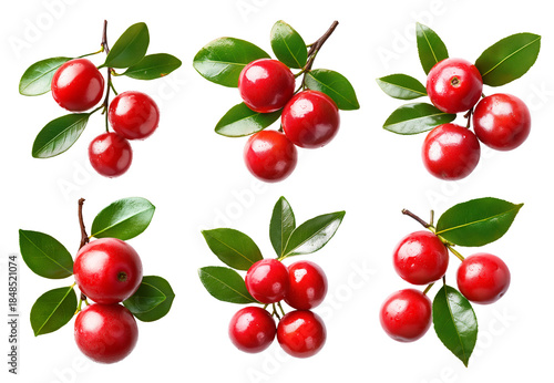 Set of red guava berries or camu camu with green leaves isolated on white background. Concept of healthy food