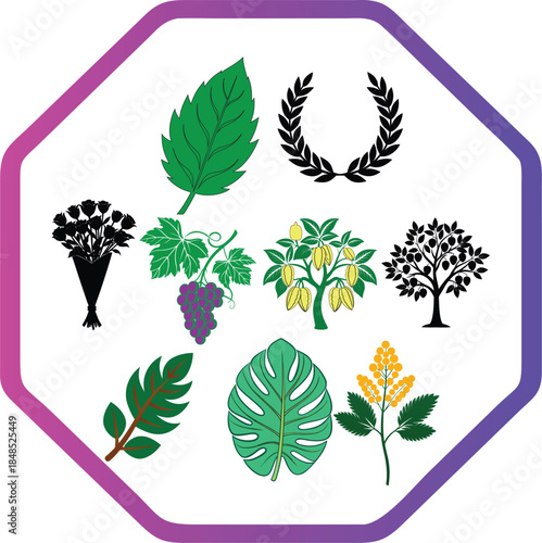Diverse Botanical Plant and Leaf Motifs Collection