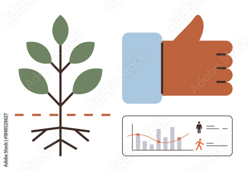 Young plant growing alongside segmented roots, a thumbs-up gesture, and a performance analytics chart. Ideal for growth, development, success, feedback, sustainability, progress decision-making