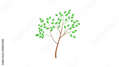 A single tree with green leaves stands against a white background.
