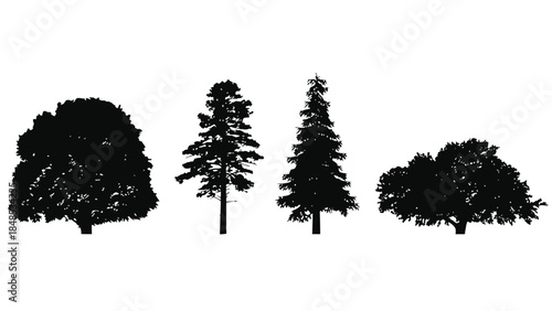 Silhouettes of four distinct trees stand against a white background.