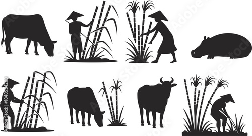 Silhouettes of farmers harvesting sugarcane with cows and hippo in rural agricultural scenes showing traditional farming and livestock vector themes.