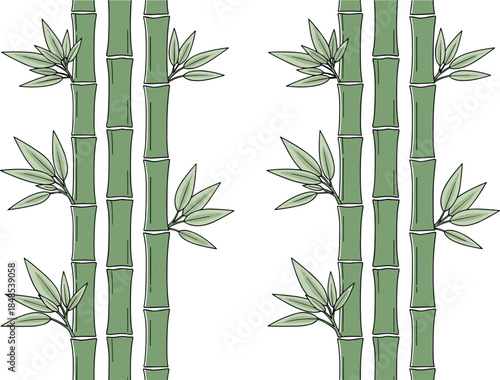 Bamboo plant illustration pattern with green stems and leaves, natural botanical design for eco, zen and tropical backgrounds