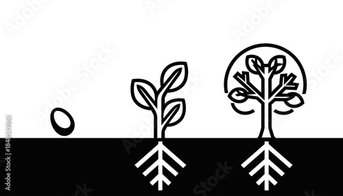 Illustration showing the growth stages of a plant from a seed to a mature tree.