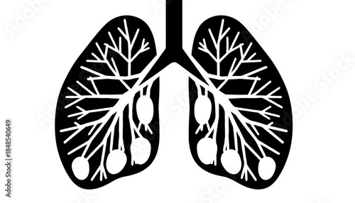 Human lungs with bronchi and alveoli, a black and white illustration of the respiratory system.