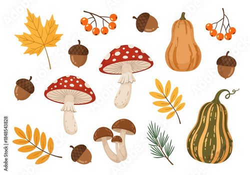 Collection of autumn harvest elements including colorful maple leaf, various mushroom types, acorns, rowan berry branch, and squash