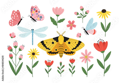 Collection of cute colorful butterflies, dragonfly, moth, and various spring summer flower bloom