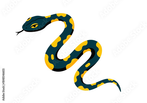 Stylized illustration of a coiled snake with dark blue and yellow spots