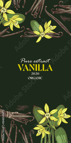 Vanilla vector vertical banner template