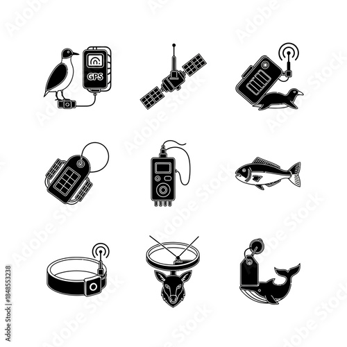 A vibrant close-up of a professional photographer using a modern camera to capture high-quality stock photography in a bright outdoor setting