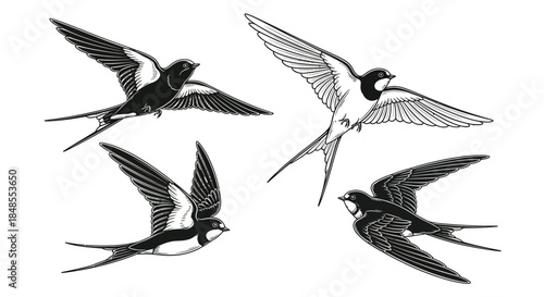 Elegant swallows in flight a vintage style illustration of avian grace