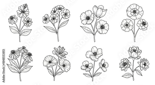 Delicate floral sketches showcase various blossoming wildflower arrangements in black and white