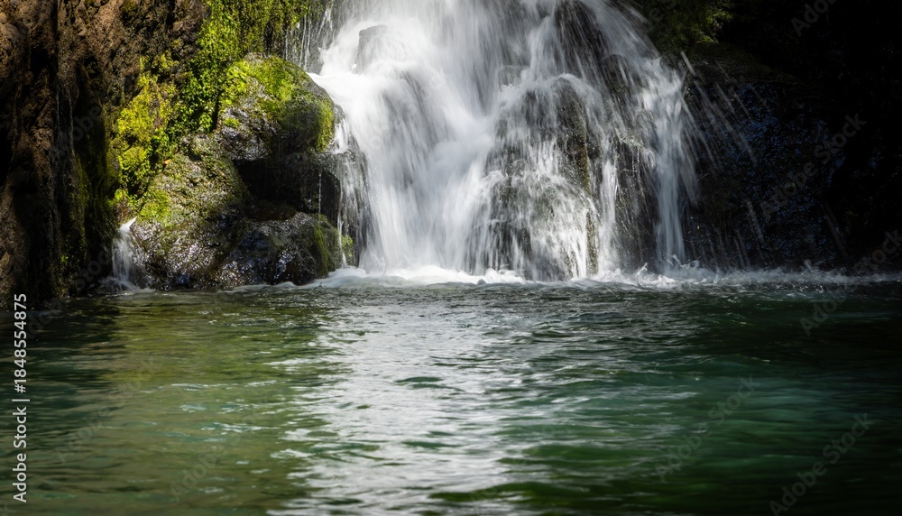 Fototapeta premium Lush moss covers rocks as a waterfall cascades into a clear pool. A serene natural scene, perfect for travel or nature themes. Location: New Zealand.