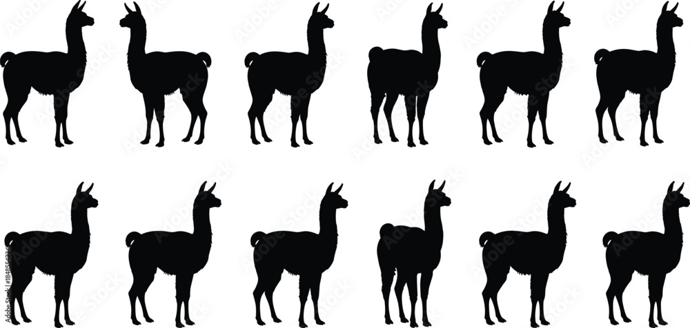 Obraz premium Seamless Repeating Pattern of Black Silhouette Llamas or Alpacas in Standing Profile Pose, Simple Flat Vector Illustration for Fabric Print or Decorative Element Design, Isolated on White Background,