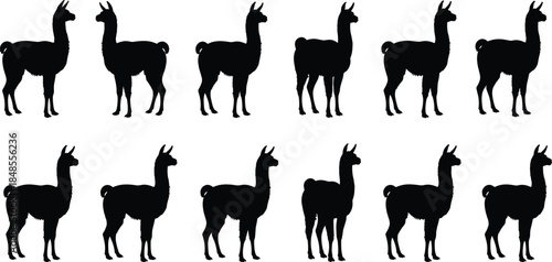 Seamless Repeating Pattern of Black Silhouette Llamas or Alpacas in Standing Profile Pose, Simple Flat Vector Illustration for Fabric Print or Decorative Element Design, Isolated on White Background,