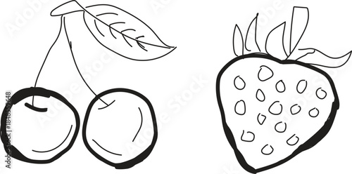 Minimalist hand drawn sketch fruits vector illustration. Natural tropical fruits. Dragon fruit, pineapple, coconut, citrus, banana, fig, apple, grape, lemon, banana, pomegranate, fig, strawberry.