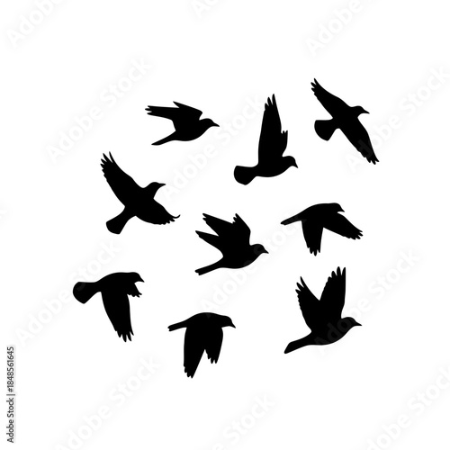 Graceful flock of birds in silhouette taking flight creating a dynamic and natural scene symbolizing freedom and movement
