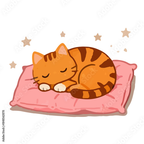 sleeping cat