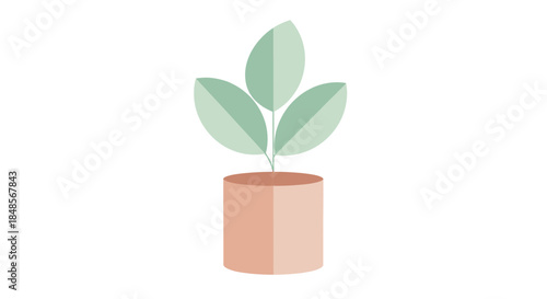 Modern potted plant illustration brings fresh, minimalist style to your designs, perfect for adding a touch of nature to any project or branding needs