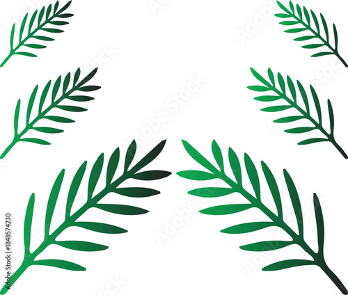 A collection of vibrant green fern leaves arranged in a delicate pattern showcasing natural botanical elements on transparent background high-quality