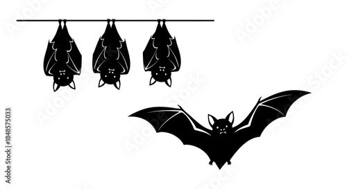 Bats hanging and flying with transparent background