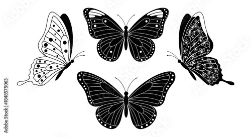 Black and white butterfly collection with transparent background
