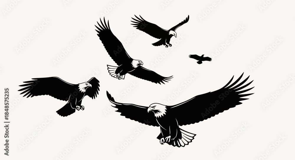 Obraz premium Flying eagles group with transparent background