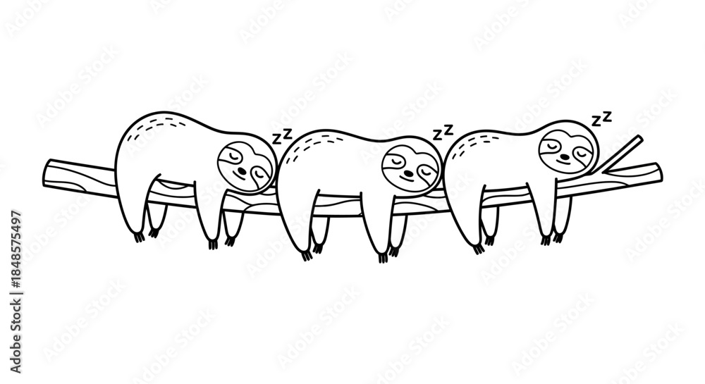 Obraz premium Sleeping sloths hanging from a branch