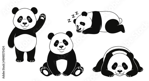 Panda poses collection in black and white