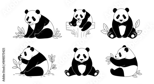 Panda bear poses with bamboo leaves