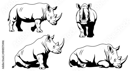 Rhino animal in various poses with transparent background