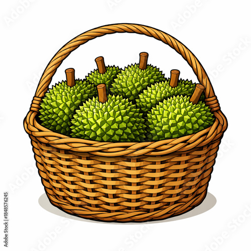 Vector Illustration of Durian Fruits with Basket