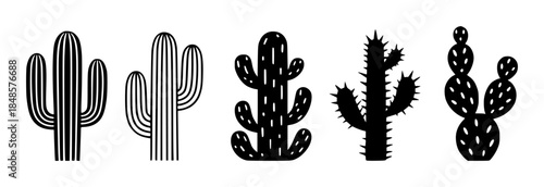 Stylized black and white cactus with varied textures and shapes succulent desert