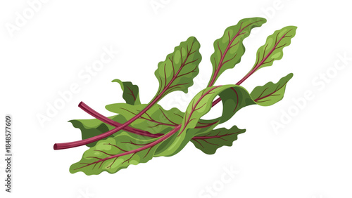 Vibrant Fresh Leafy Greens with Crimson Stems Offering Wholesome Nutrition