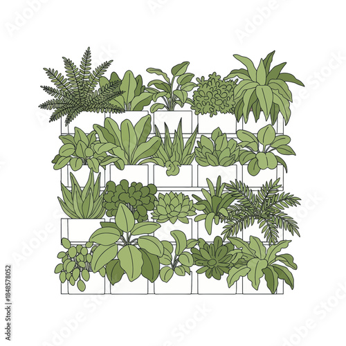 Collection of tropical houseplants arranged on shelves.