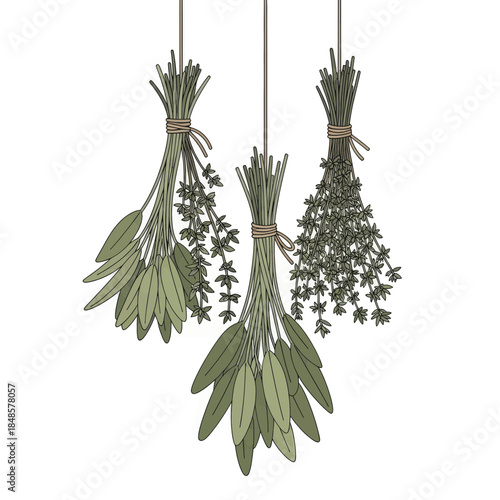Three Bundles Of Dried Herbs Hanging In Air.
