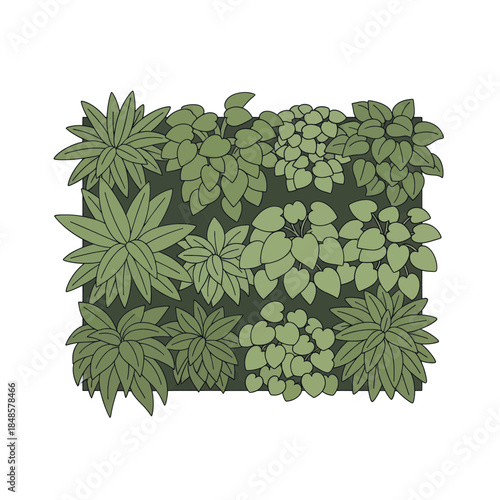 Diverse succulent plant collection arranged in greens.