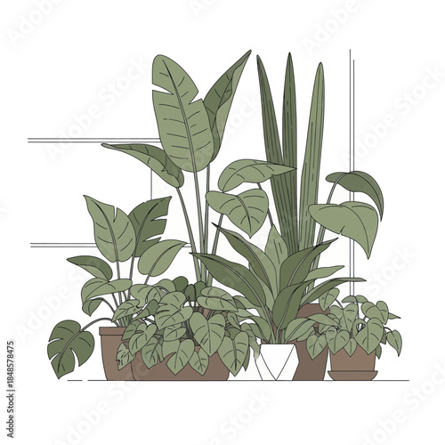 Lush Indoor Potted Plants Group Arrangement.