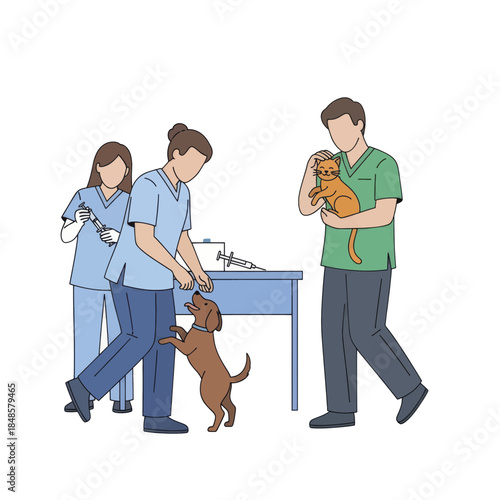 Dog at veterinary examination with veterinarian in clinic.