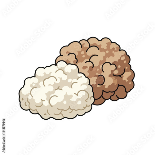 Pair of Popcorn Kernels Resting Together for Snack Image.