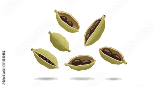 Aromatic green cardamom pods illustration, with some split to reveal their dark seeds, embodying exotic culinary flavor