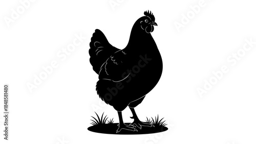Black silhouette chicken farm illustration
