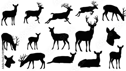 Black silhouette deer collection for branding