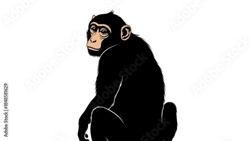 Silhouette of thoughtful chimpanzee