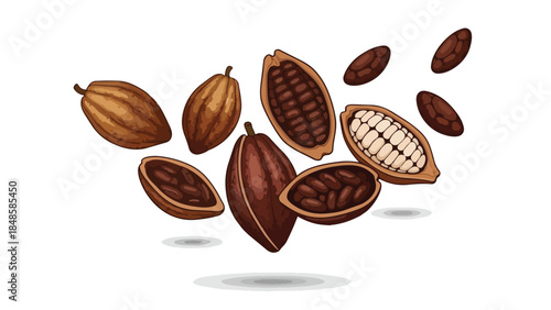 Detailed vector illustration depicting cocoa pods and their raw beans in various forms, highlighting the journey from fruit to ingredient for food