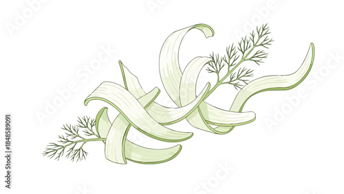 Stylized culinary illustration featuring pale green ribbons of a sliced vegetable, possibly fennel, gracefully intertwined with delicate, fresh